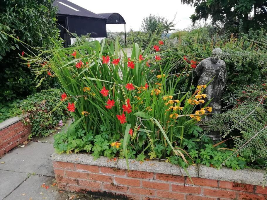 Country Home With Gardens نيوتاون المظهر الخارجي الصورة