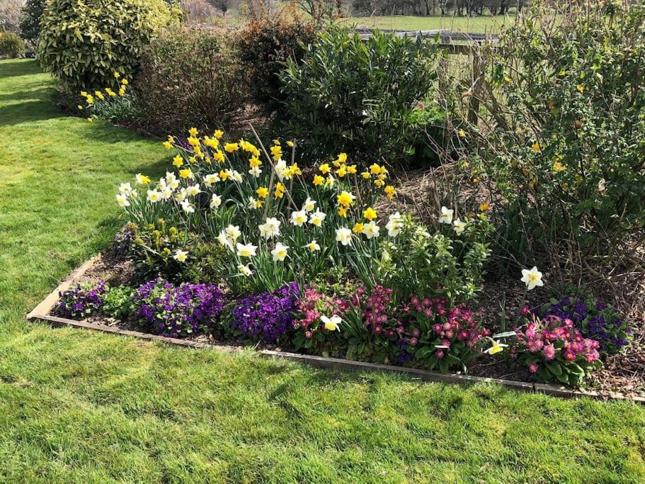 Country Home With Gardens نيوتاون المظهر الخارجي الصورة
