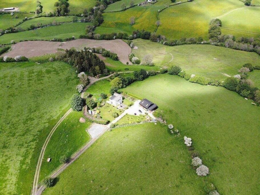 Country Home With Gardens نيوتاون المظهر الخارجي الصورة