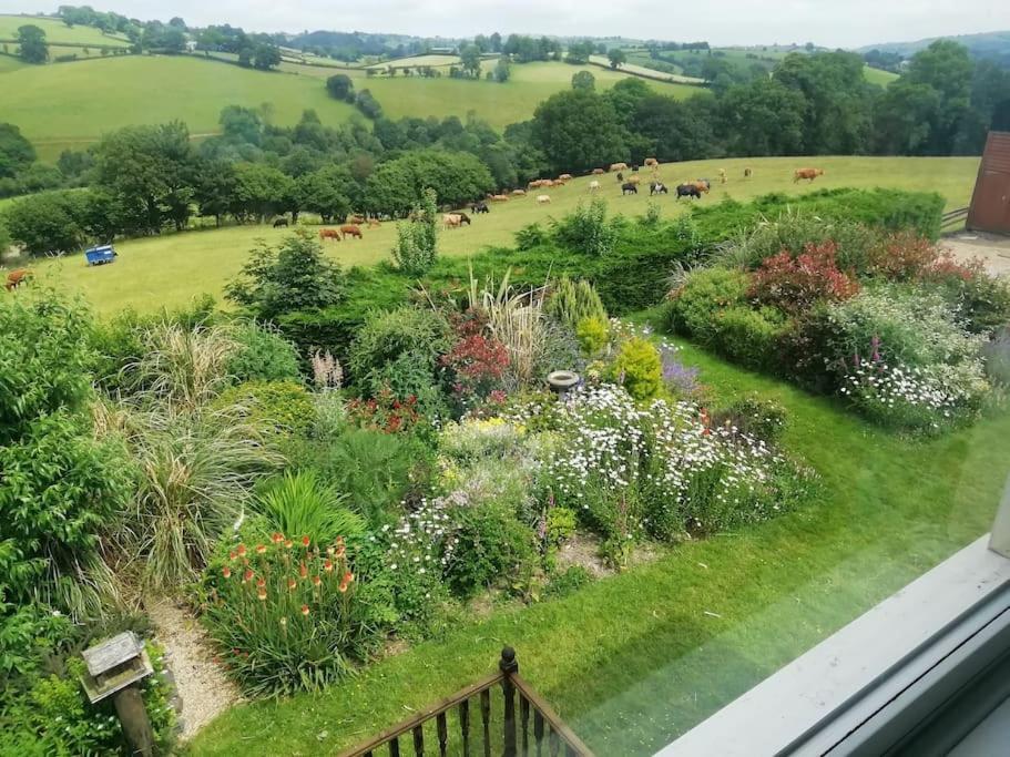 Country Home With Gardens نيوتاون المظهر الخارجي الصورة